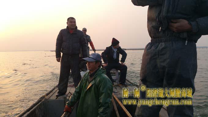 三九天里蟹农忙......