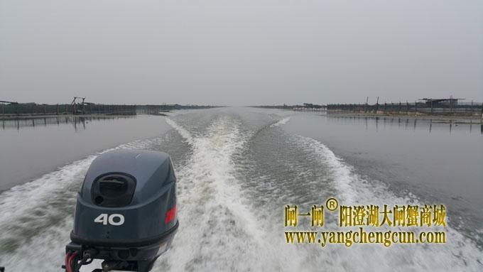 阳澄湖飞驰的快艇