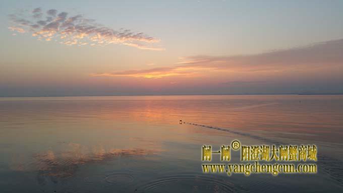 阳澄湖日出