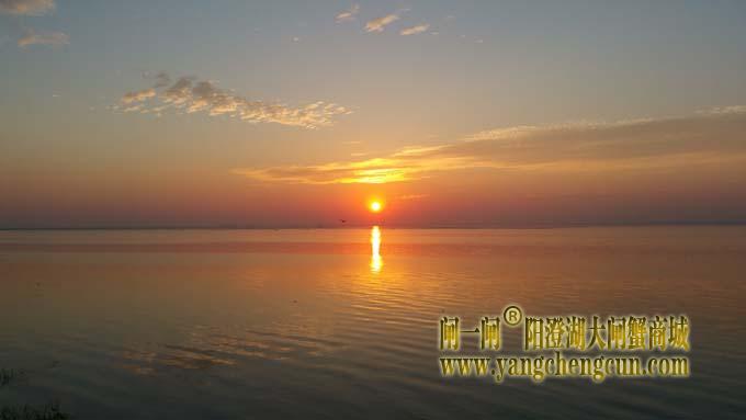 阳澄湖日出