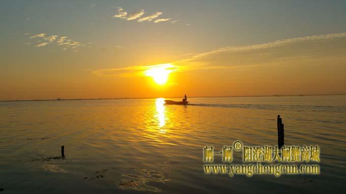 阳澄湖日出
