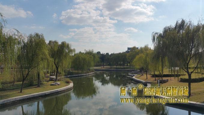 阳澄湖半岛-一个好天气