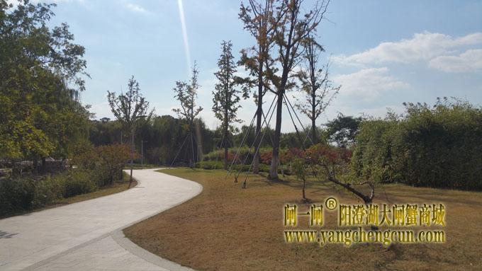 阳澄湖半岛-一个好天气