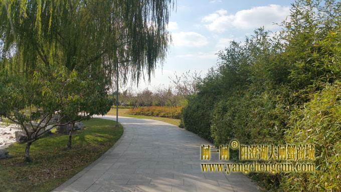 阳澄湖半岛-一个好天气