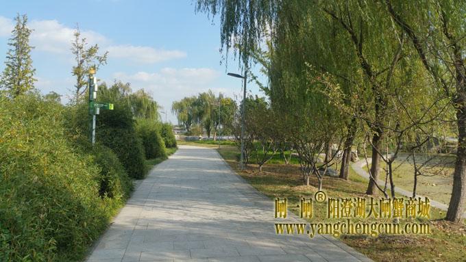 阳澄湖半岛-一个好天气