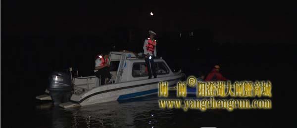 不法之徒垂涎 “六月黄”疯狂盗蟹  