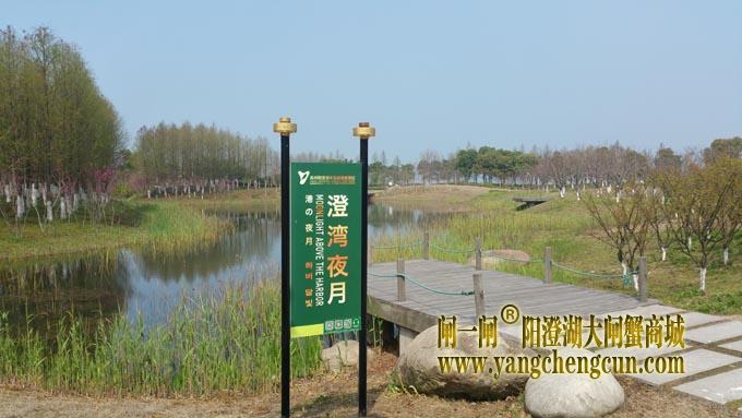 阳澄湖半岛——澄湾夜月