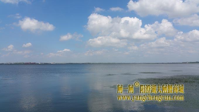 蓝天白云艳阳天