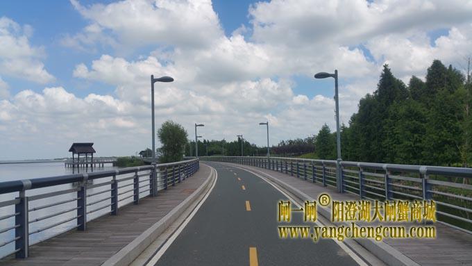 阳澄湖自行车道-蓝天白云