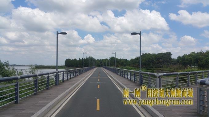 阳澄湖自行车道-蓝天白云