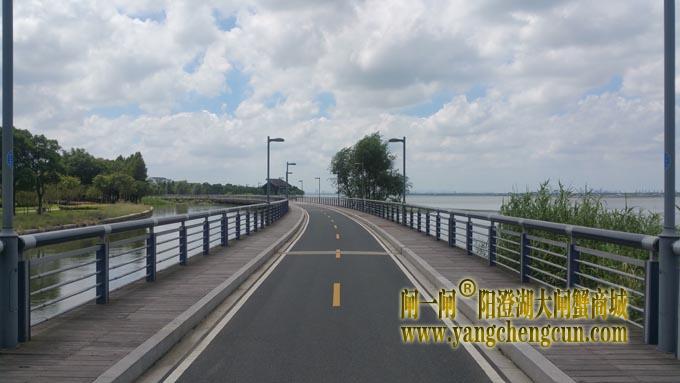 阳澄湖自行车道-蓝天白云