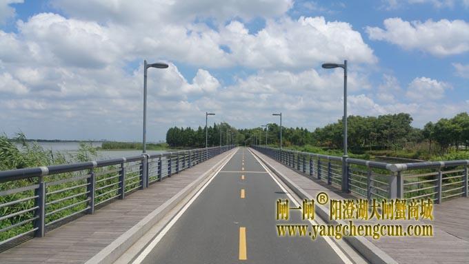 阳澄湖自行车道-蓝天白云