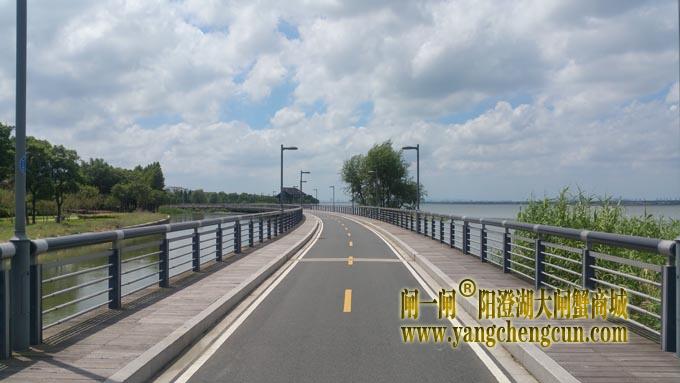 阳澄湖自行车道-蓝天白云