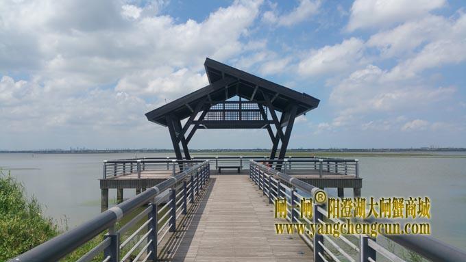 阳澄湖自行车道-蓝天白云