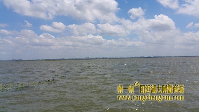 蓝天白云艳阳天