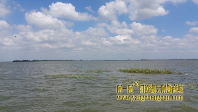 蓝天白云艳阳天