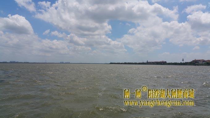 蓝天白云艳阳天