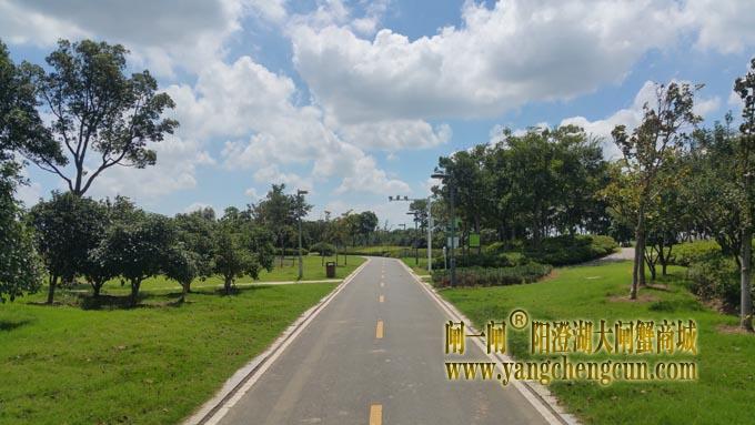 阳澄湖自行车道-蓝天白云