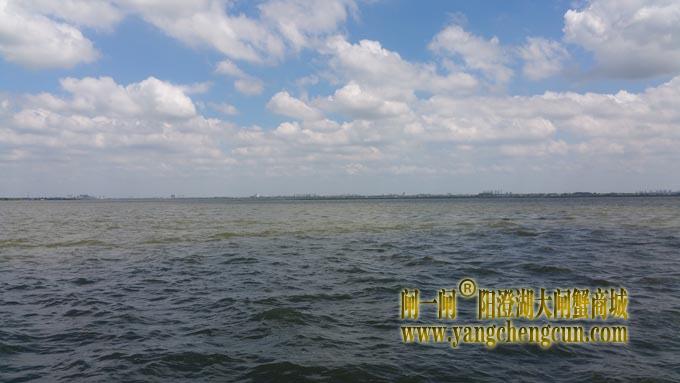 蓝天白云艳阳天