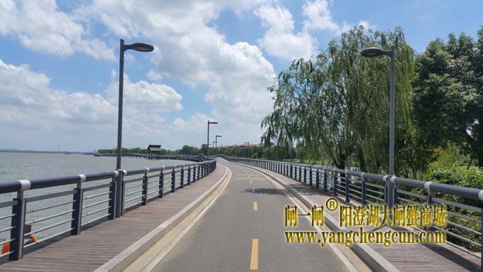 阳澄湖自行车道-蓝天白云