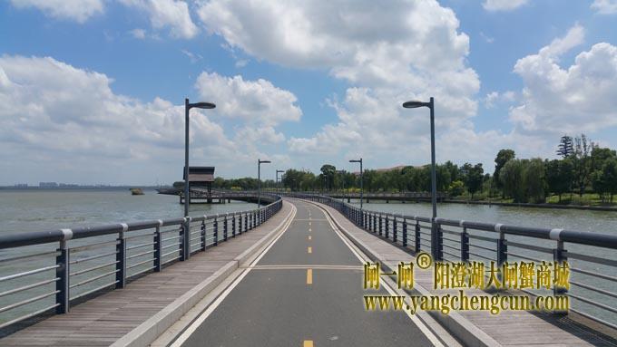 阳澄湖自行车道-蓝天白云