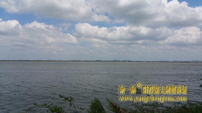 蓝天白云艳阳天