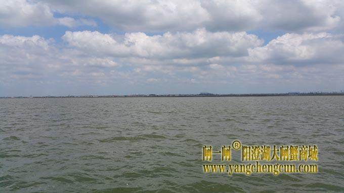 蓝天白云艳阳天