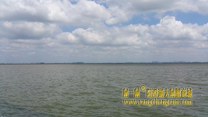 蓝天白云艳阳天