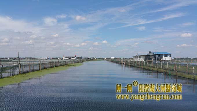 秋天里的阳澄湖