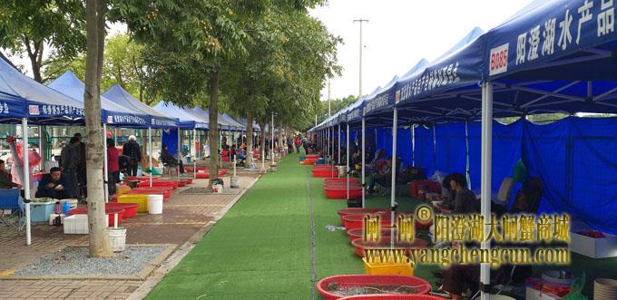 阳澄湖半岛水产品临时疏导点