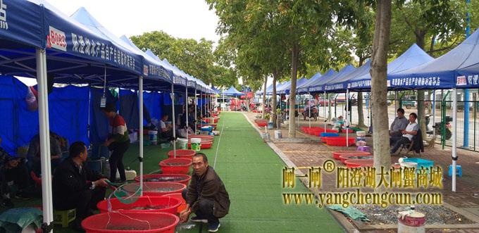 阳澄湖半岛水产品临时疏导点