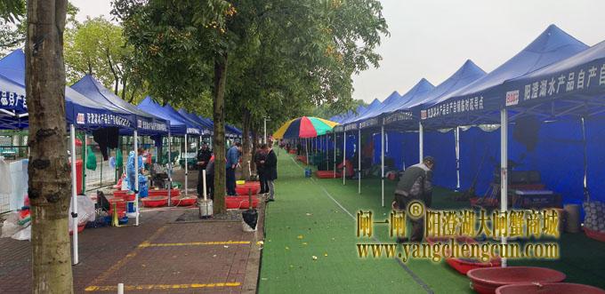 阳澄湖半岛水产品临时疏导点