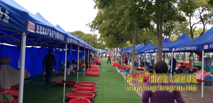 阳澄湖半岛水产品临时疏导点