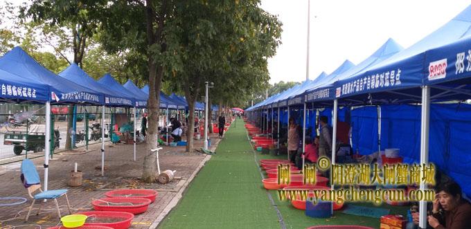 阳澄湖半岛水产品临时疏导点