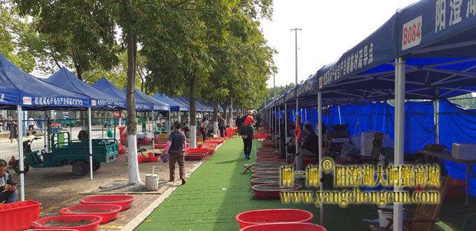 阳澄湖半岛水产品临时疏导点