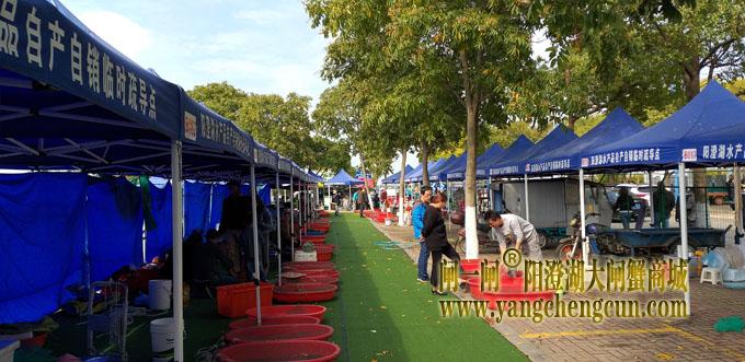 阳澄湖半岛水产品临时疏导点