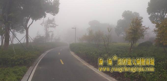 阳澄湖半岛大雾天