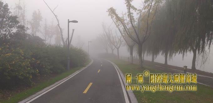 阳澄湖半岛大雾天