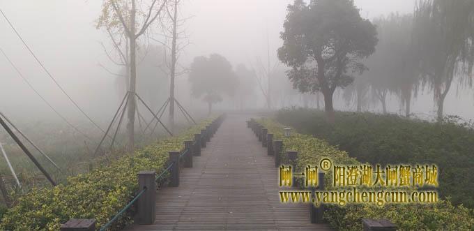 阳澄湖半岛大雾天