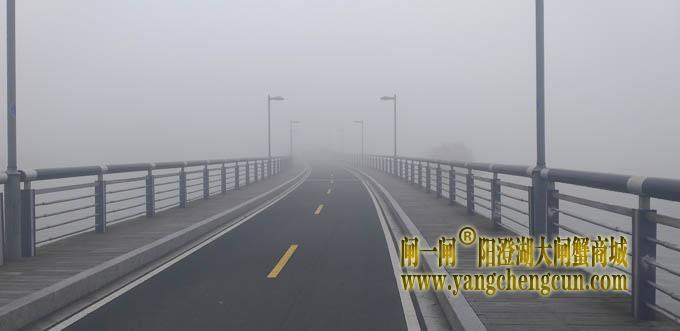 阳澄湖半岛大雾天