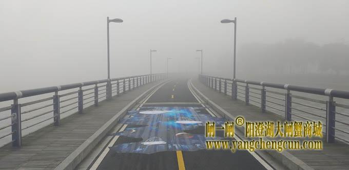 阳澄湖半岛大雾天