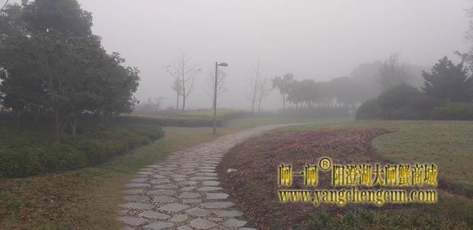 阳澄湖半岛大雾天
