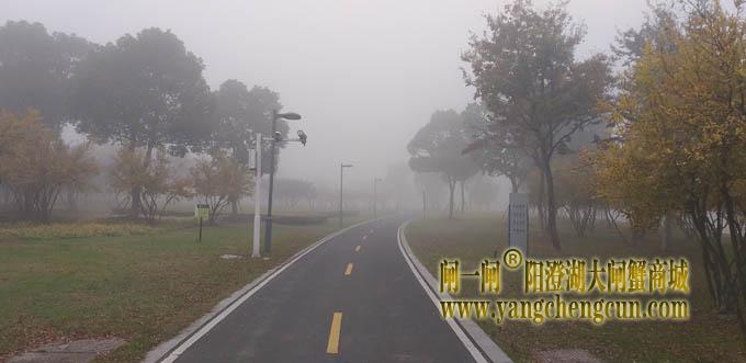 阳澄湖半岛大雾天