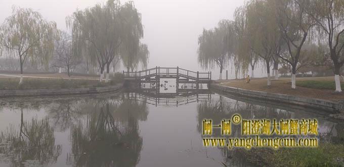 阳澄湖半岛大雾天