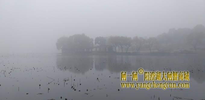阳澄湖半岛大雾天