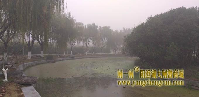 阳澄湖半岛大雾天