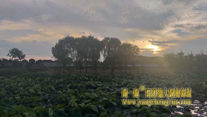 阳澄湖半岛-日落时分