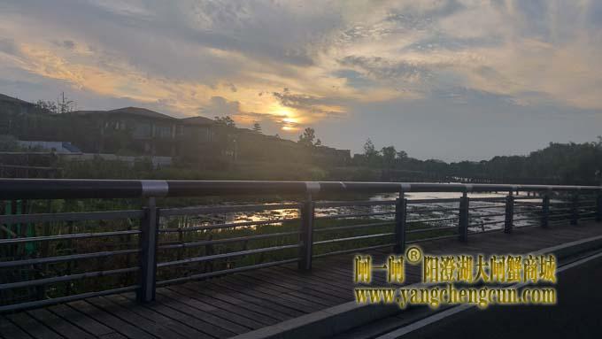 阳澄湖半岛-日落时分