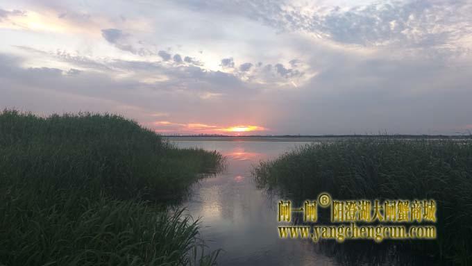 阳澄湖半岛-日落时分