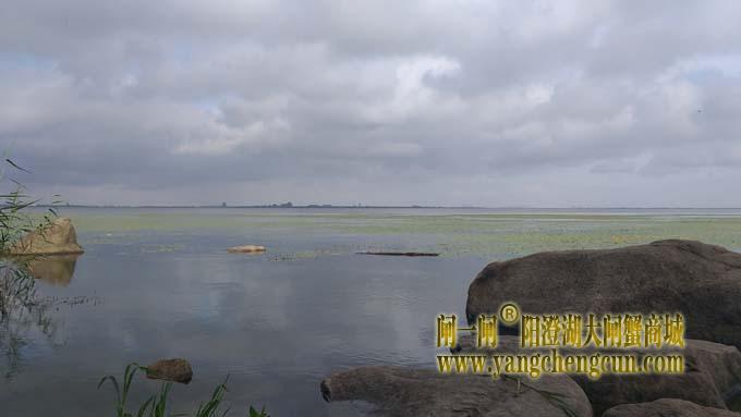 巴城生态湿地公园